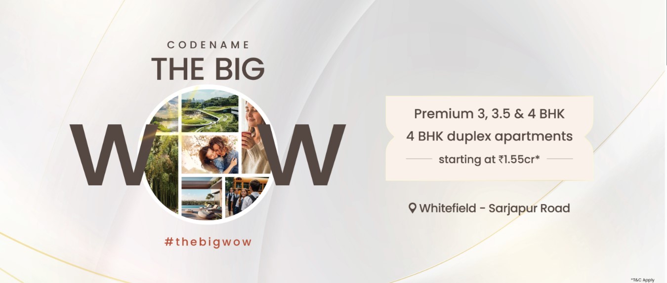 Big Wow Project